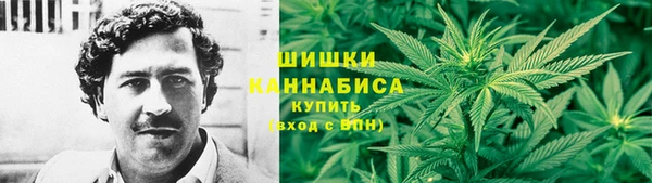 крисы Пестово