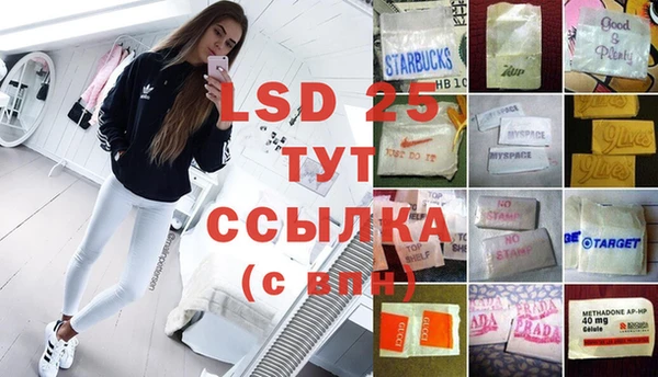 стафф Осташков
