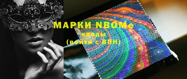 стафф Осташков