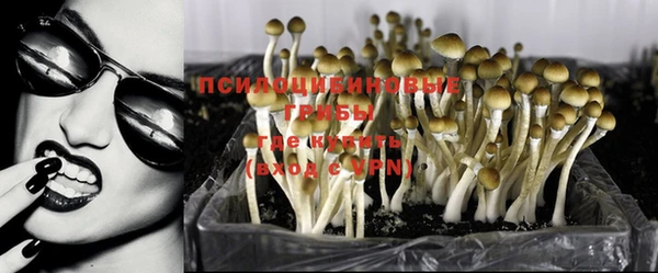 стафф Осташков