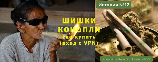 стафф Осташков