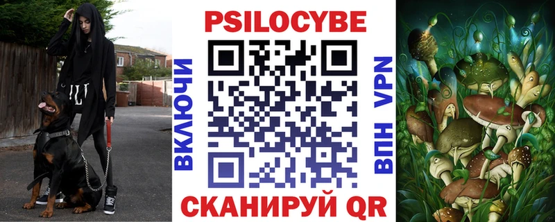 даркнет сайт  дарк нет Telegram  MEGA зеркало  Псилоцибиновые грибы Cubensis  Мензелинск 